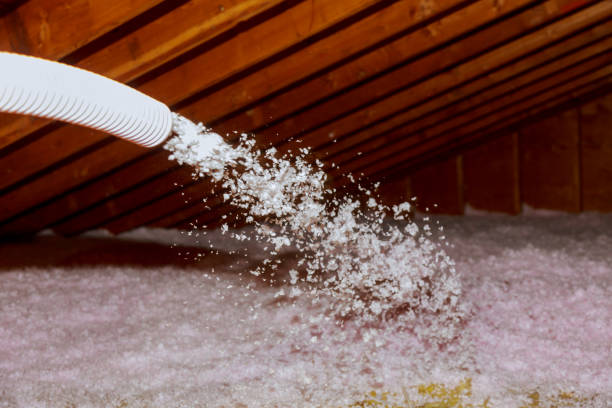 Best Insulation Removal  in Rochester, IL