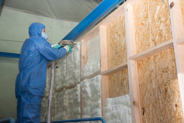 Best Fiberglass Insulation  in Rochester, IL