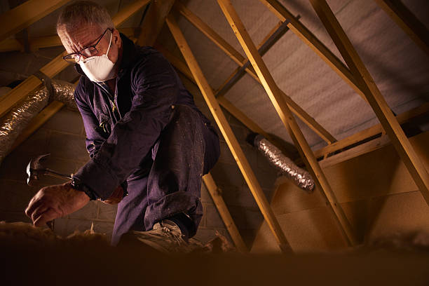 Best Insulation Repair Services  in Rochester, IL